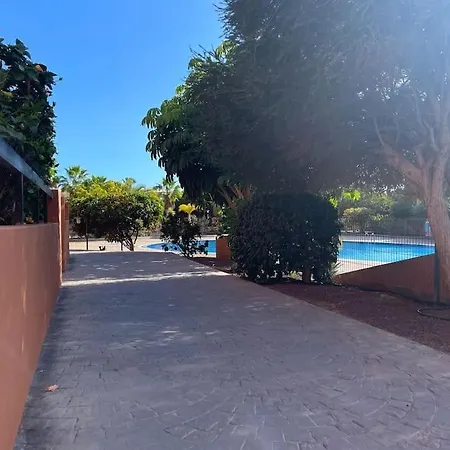 Cozy With Large Terrace Next To The Pool Apartment *