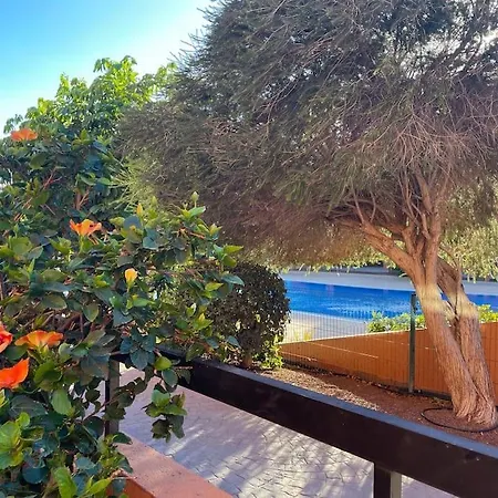 Cozy With Large Terrace Next To The Pool La Tejita